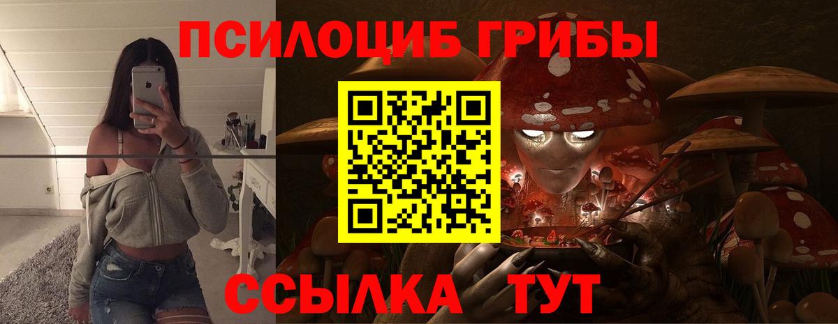 где купить наркоту  Галлюциногенные грибы мицелий  Вход с VPN  Лосино-Петровский 