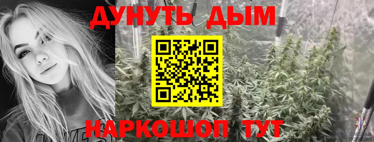 Конопля планчик Лосино-Петровский